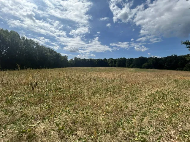 $700,000 | V/l V/l M-66, Athens, MI 49011