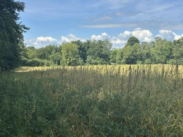 $700,000 | V/l V/l M-66, Athens, MI 49011