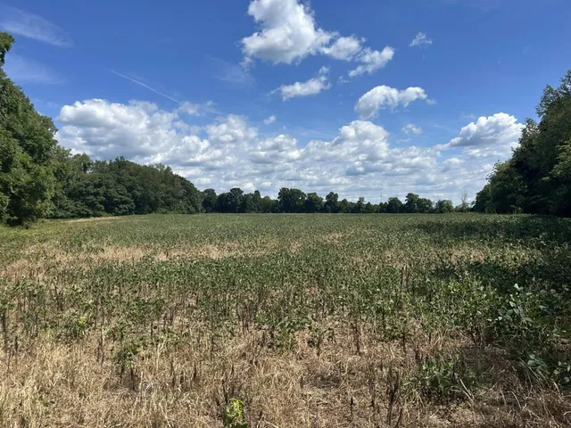 $700,000 | V/l V/l M-66, Athens, MI 49011