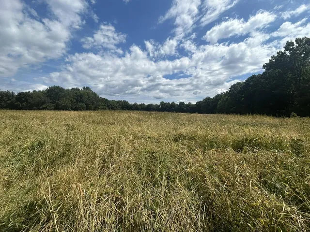 $700,000 | V/l V/l M-66, Athens, MI 49011