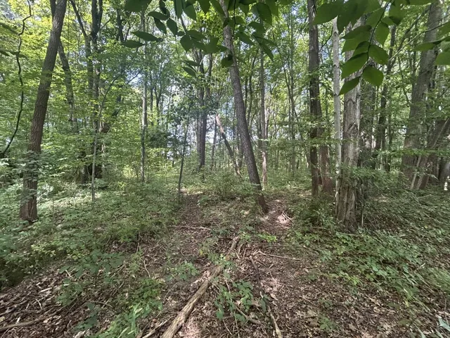 $700,000 | V/l V/l M-66, Athens, MI 49011