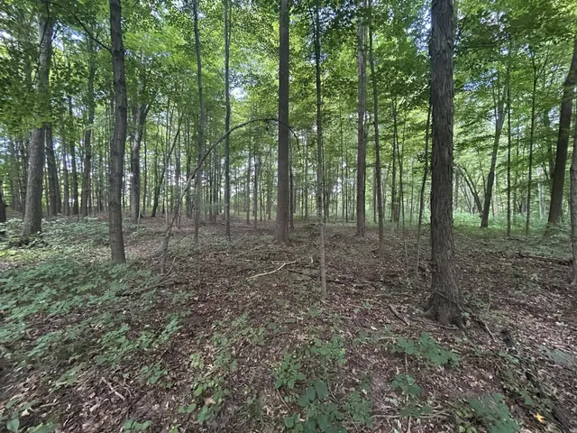 $700,000 | V/l V/l M-66, Athens, MI 49011