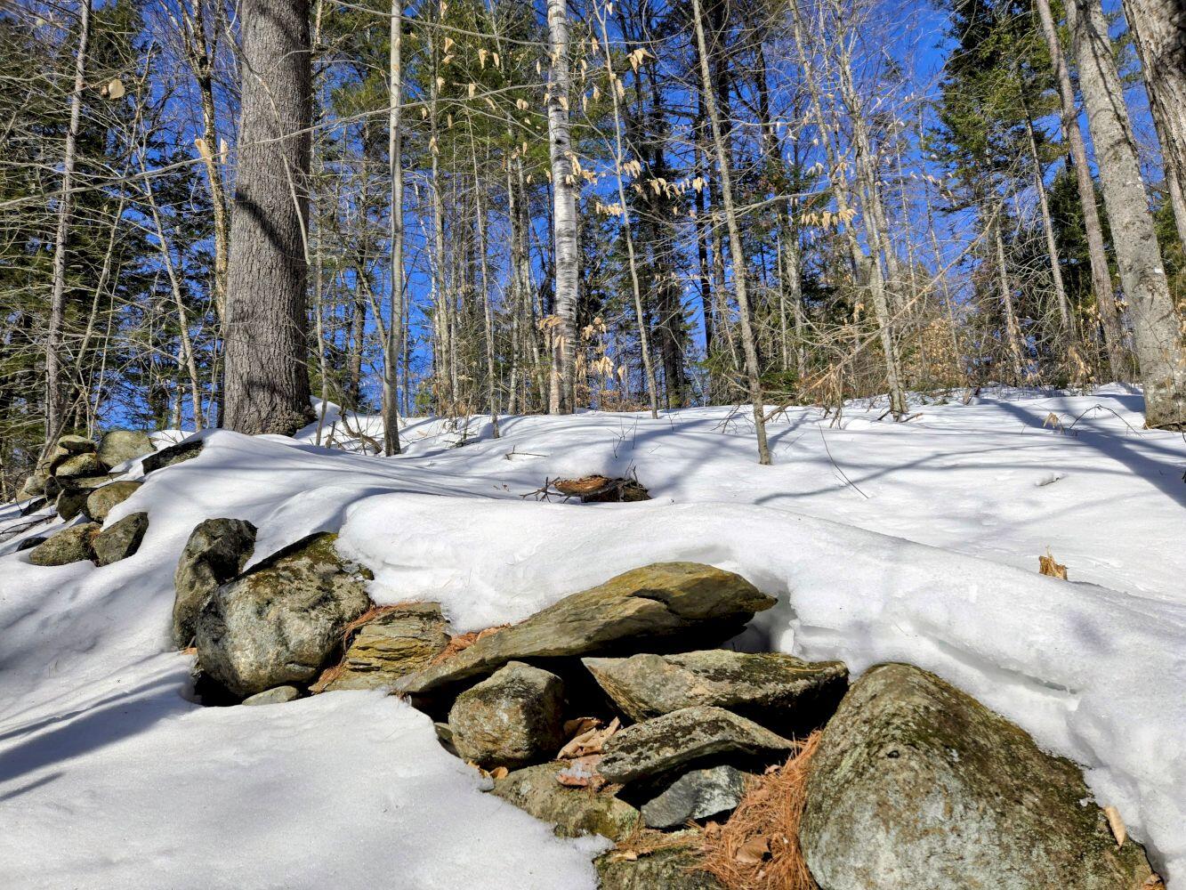 Lot 10 Staples Pond Road Temple, ME 04984 - Photo 56 of 56