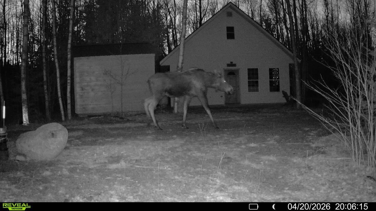 192 Wesley Me 04686 Wesley, ME 04686 - Photo 42 of 43 016578003889133-6-4-04202026200615-SYFW0