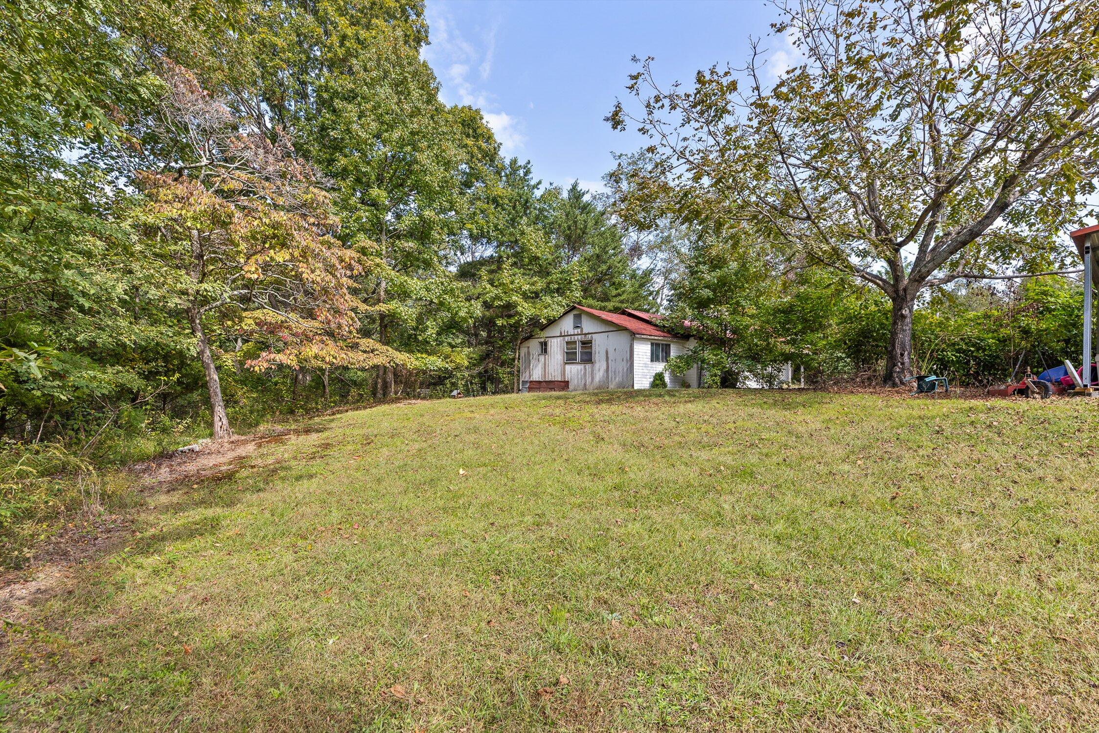373 County Road 159 Bryant, AL 35958 - Photo 28 of 39 37-Co -34