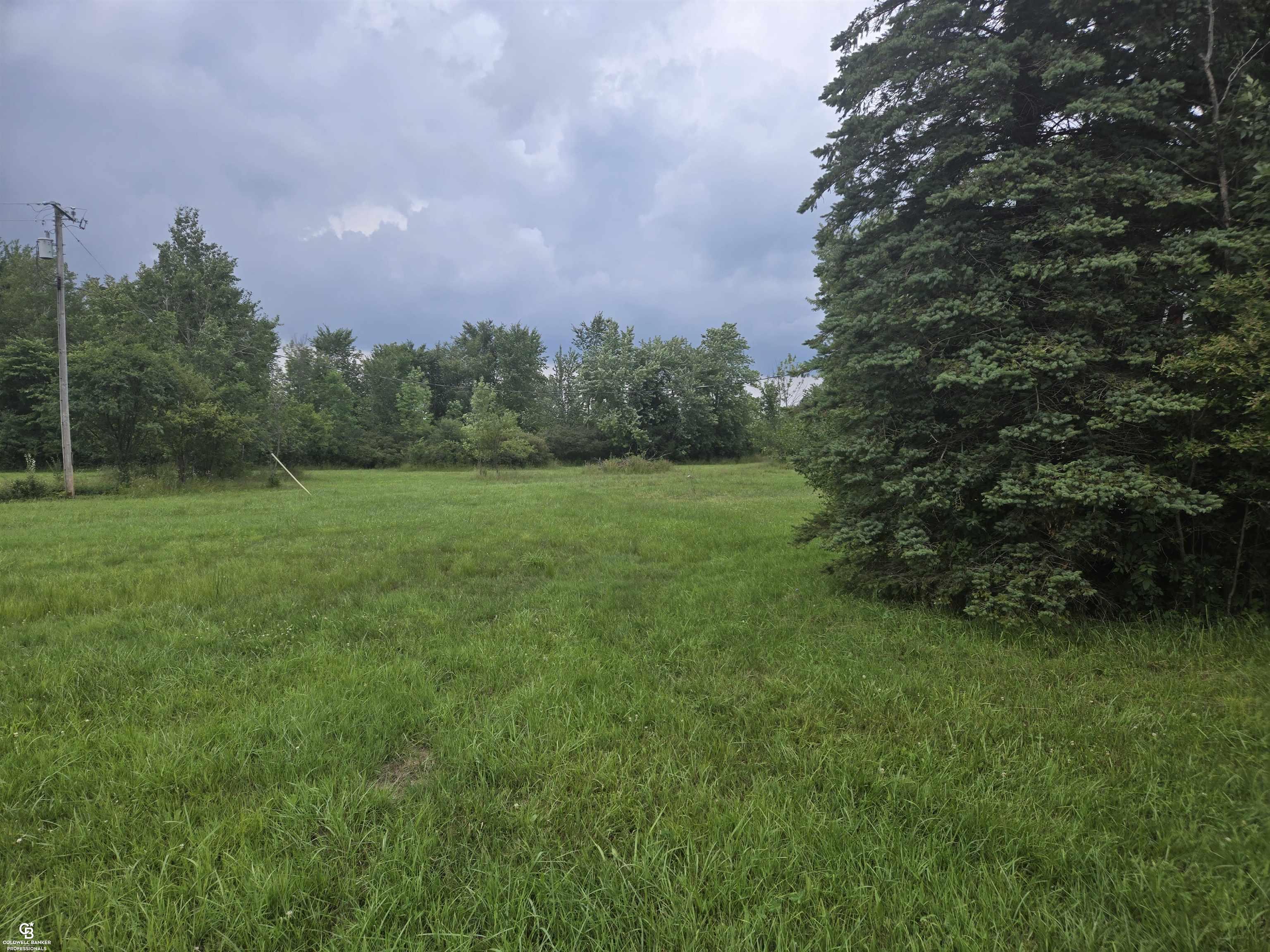 0 Duce Road Avoca, MI 48006 - Photo 9 of 10