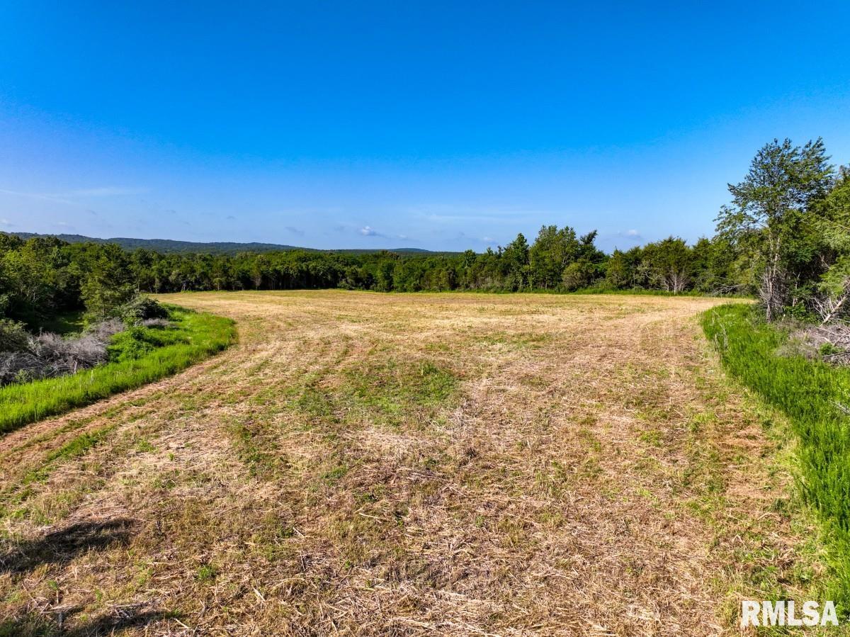 0 Tom Dick Hill Road Stonefort, IL 62987 - Photo 5 of 62