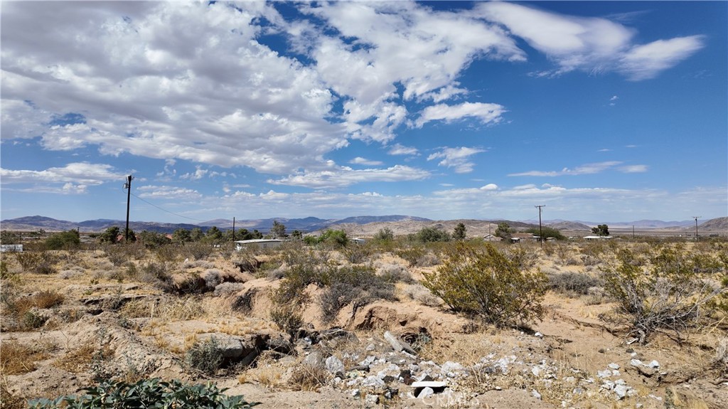 0 Old Woman Springs Road Landers, CA 92285 - Photo 22 of 24 Gallery Image 22