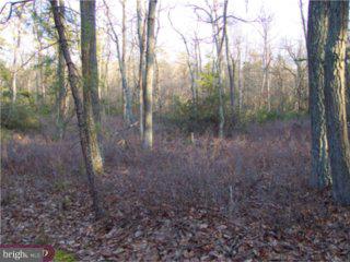 0 Bortons Road Medford, NJ 08055 - Photo 2 of 3 a view of a forest with trees in the background