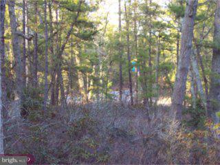 0 Bortons Road Medford, NJ 08055 - Photo 3 of 3 a view of forest