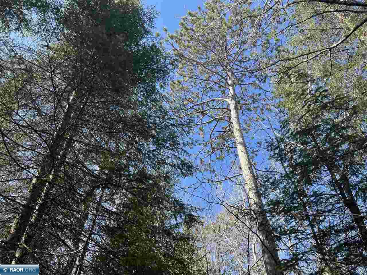 11720 Town Line Road Hibbing, MN 55746 - Photo 17 of 18