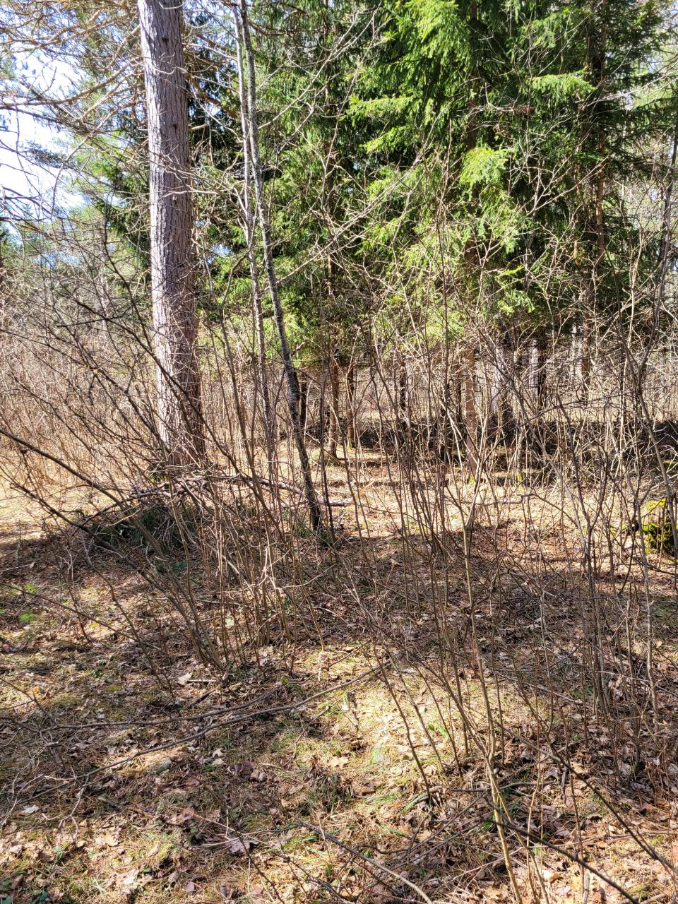 From Denton Road, Unit ACROSS Conover, WI 54519 - Photo 7 of 16 Gallery Image 7