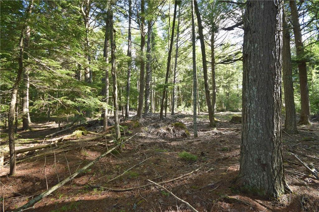Lot 10 Loop Road Lincoln, ME 04457 - Photo 8 of 9 Photo