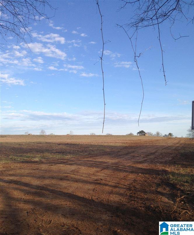 0 County Road 407 Clanton, AL 35045 - Photo 5 of 7