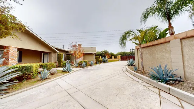 a row of palm trees in front of a building