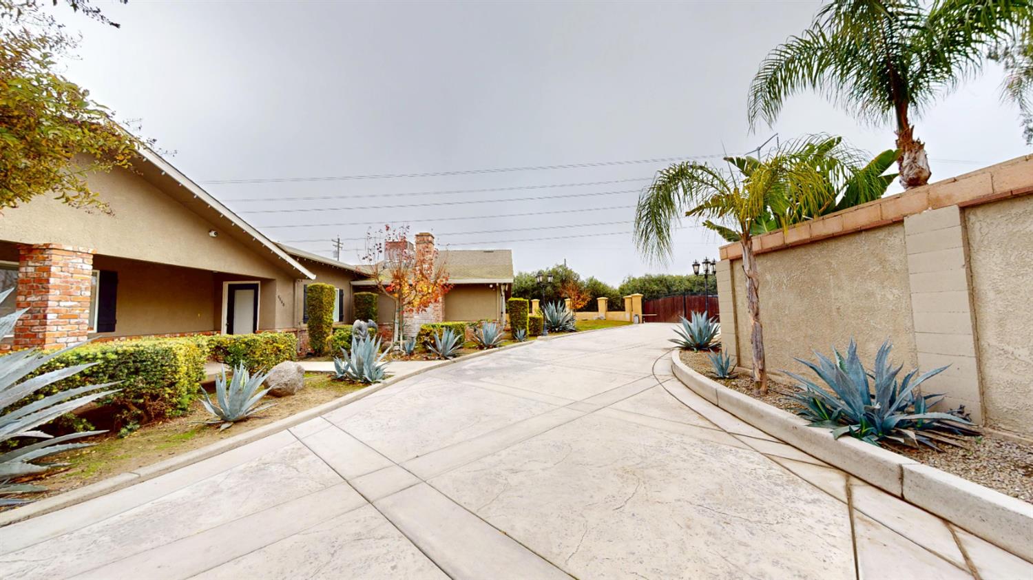 4460 South Carpenter Road Modesto, CA 95358 - Photo 5 of 40 a row of palm trees in front of a building