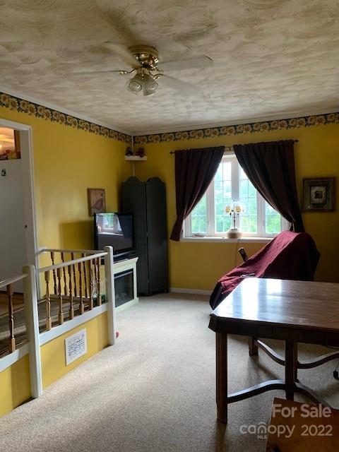2445 Old Greenlee Road Marion, NC 28752 - Photo 22 of 37 Gallery Image 22