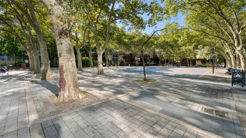 a view of a yard with trees