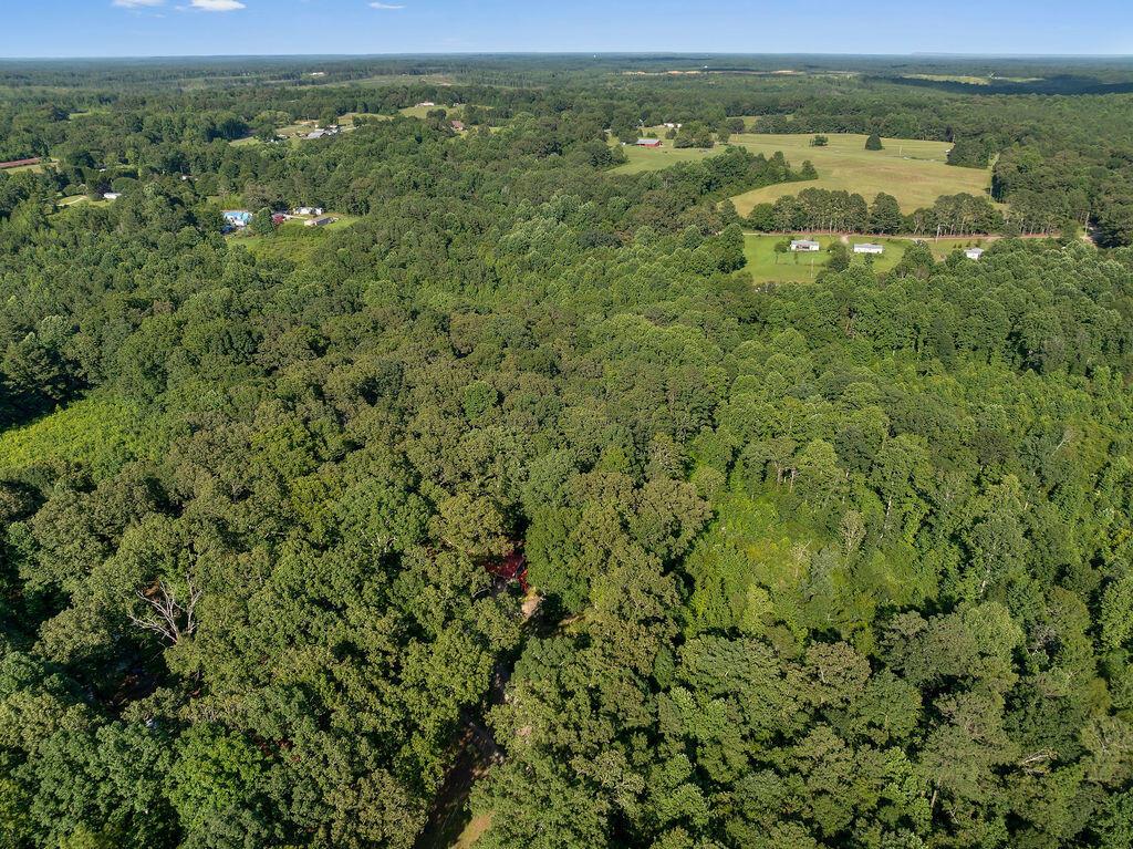 156 Barham Road Jasper, AL 35503 - Photo 30 of 37 DJI_20250715151309_0116_D-3-1