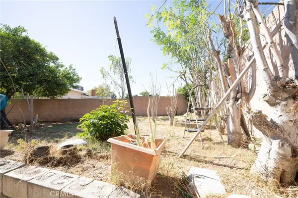 a view of a backyard with a tree