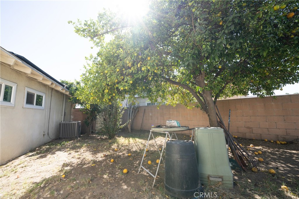 822 East Virginia Street Rialto, CA 92376 - Photo 19 of 20 a view of a backyard with a tree