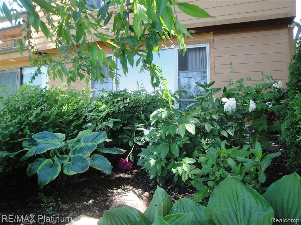 4302 Rurik Drive Howell, MI 48843 - Photo 13 of 91 Perennial garden to enjoy just outside the lower level guest bedroom