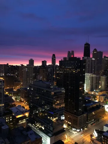 $425,000 | 303 West Ohio Street, Unit 3502, Chicago, IL 60654