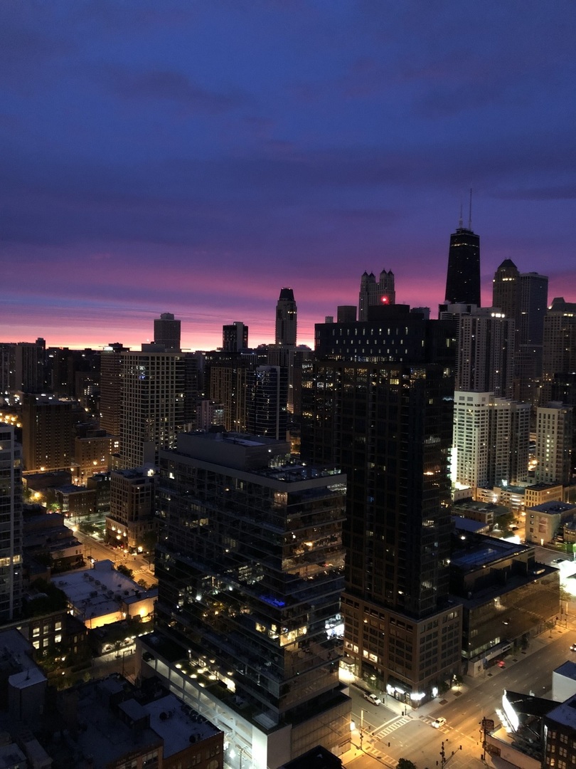 303 West Ohio Street, Unit 3502 Chicago, IL 60654 - Photo 30 of 41