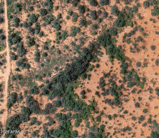 a view of a tree