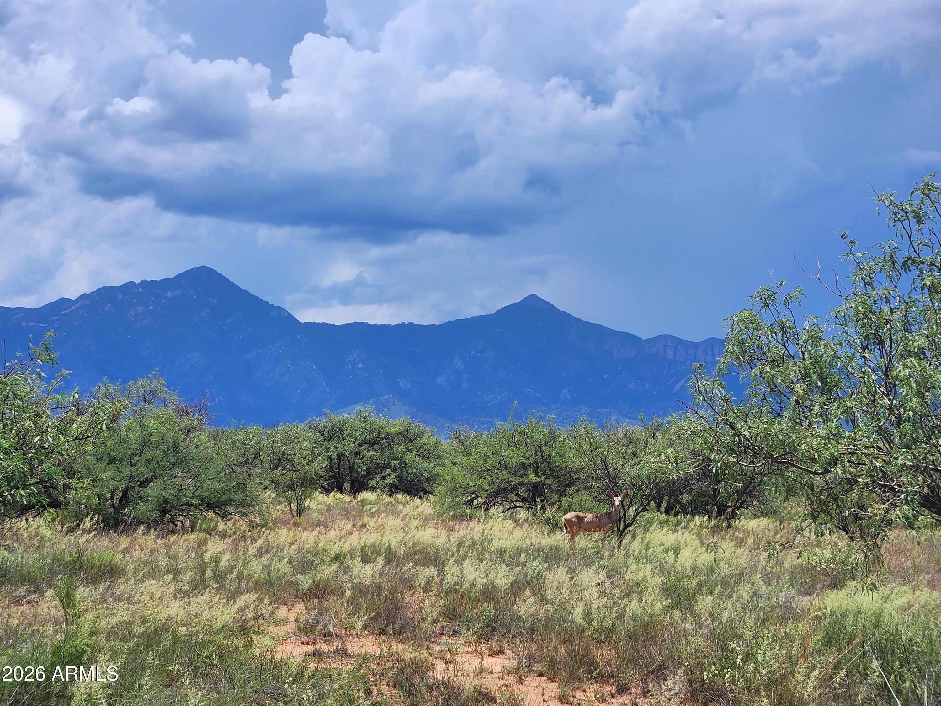 Tbd Mellak Road, Unit C Hereford, AZ 85615 - Photo 3 of 14 a view of mountain and sunset