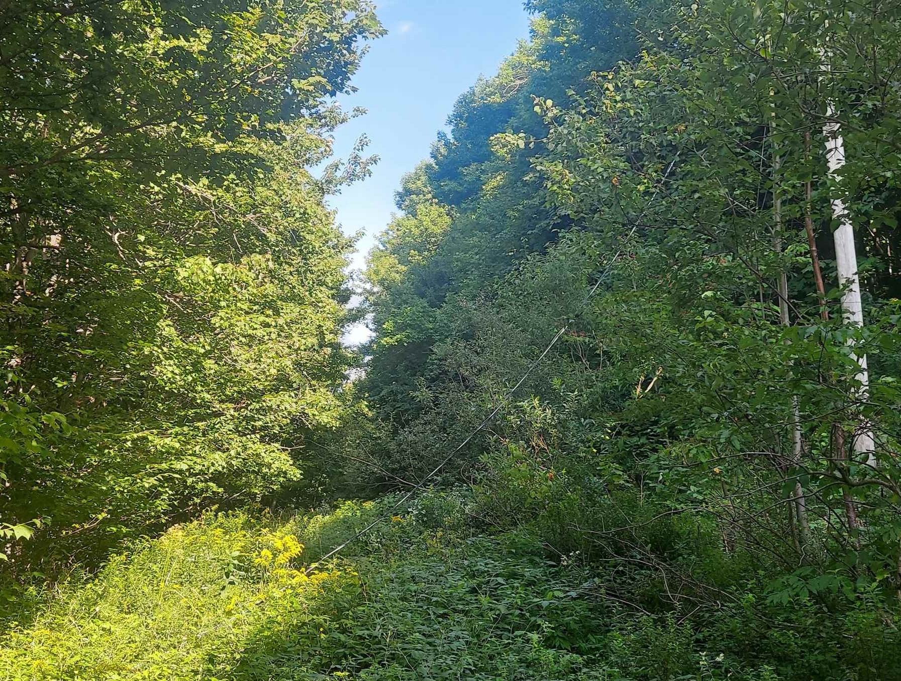 19 Barber Road West Dover, VT 05356 - Photo 2 of 4