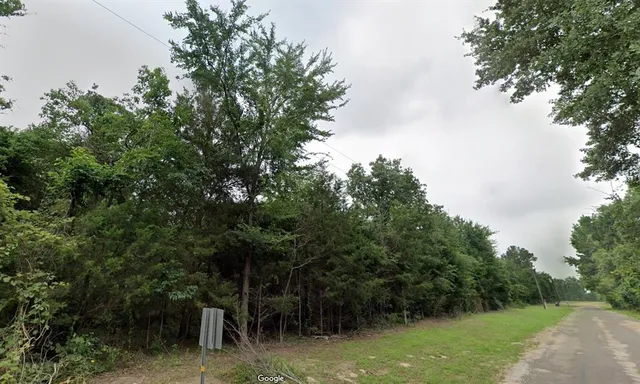 a view of backyard with green space and trees around