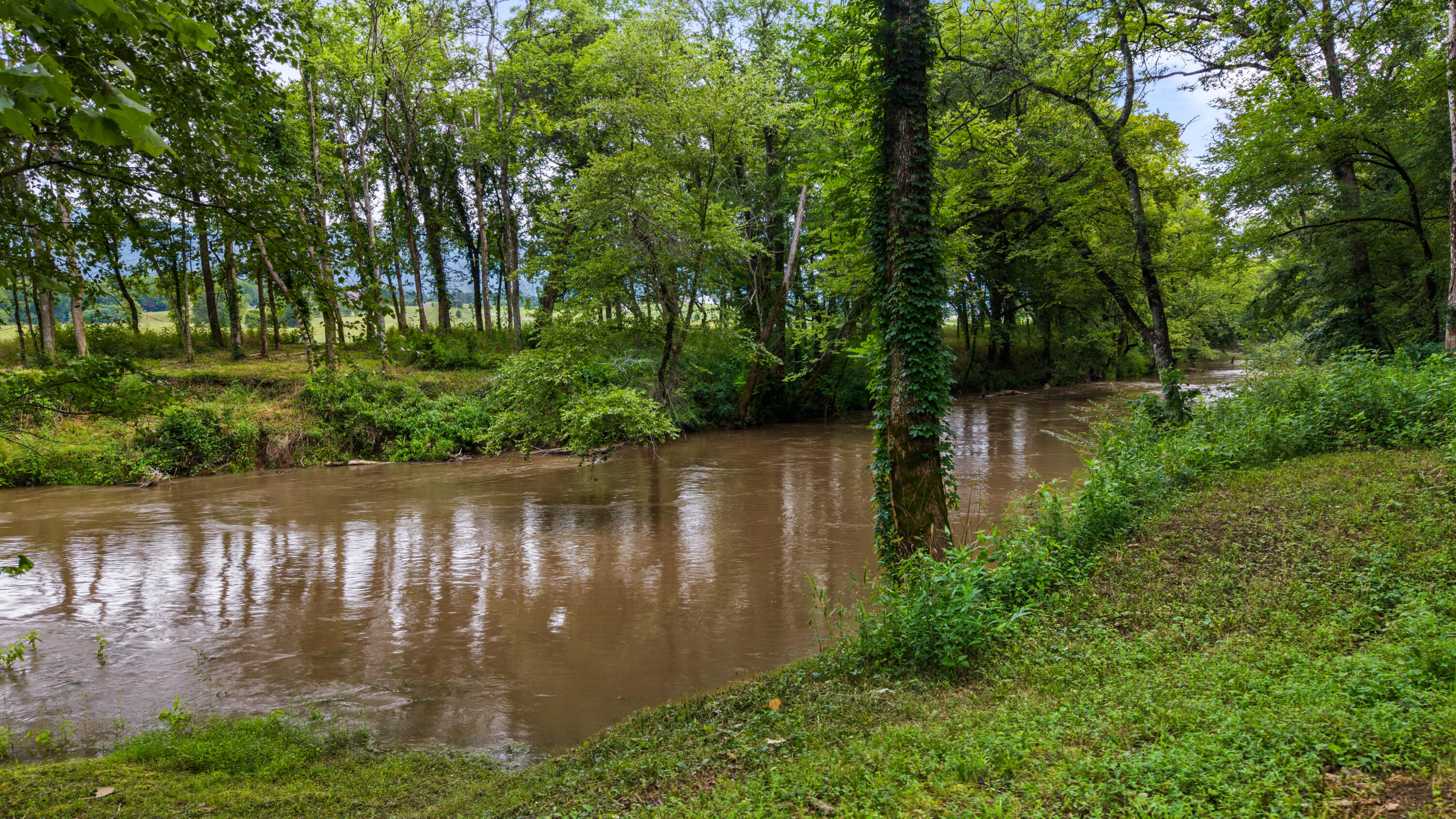 49 Hart Of Pine Road Dunlap, TN 37327 - Photo 12 of 126 SEQUATCHIE RIVER
