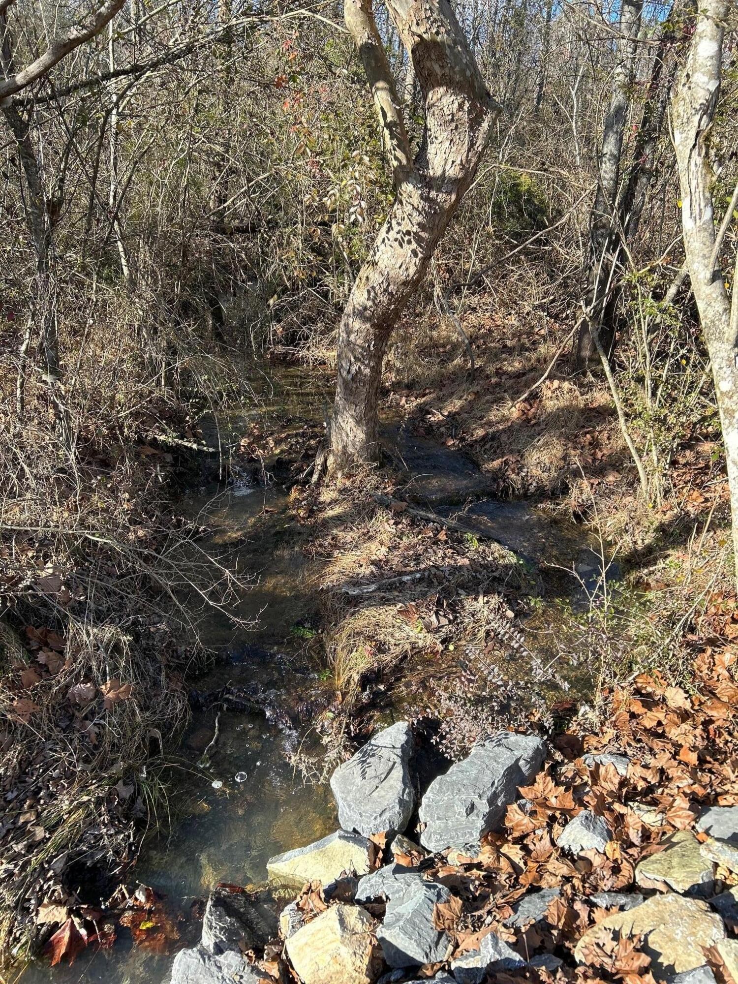 8 Euchee Road Ten Mile, TN 37880 - Photo 12 of 35
