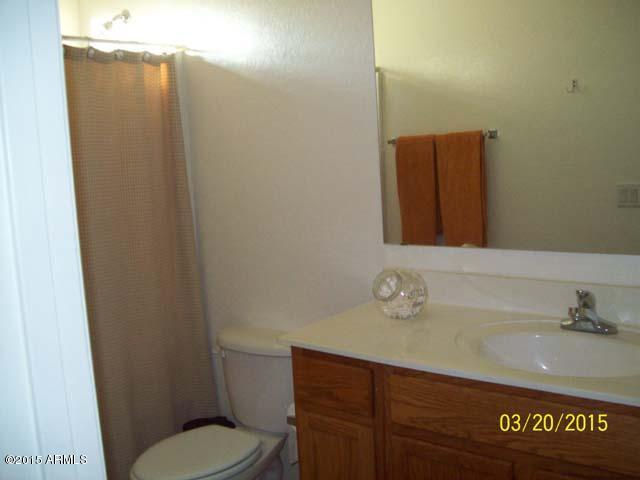 4124 South Sawmill Road Gilbert, AZ 85297 - Photo 13 of 16 Upstairs Bath.JPG