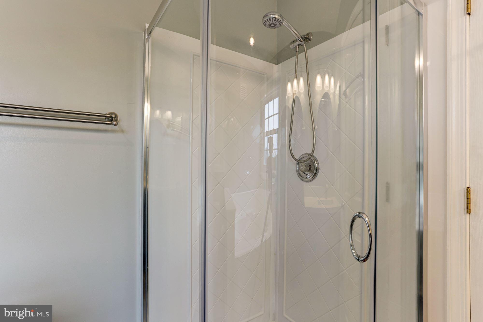 6689 Hunter Road Elkridge, MD 21075 - Photo 20 of 43 Luxury Primary Bath