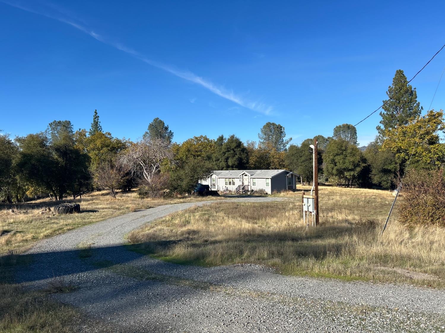 a view of a yard with a tree