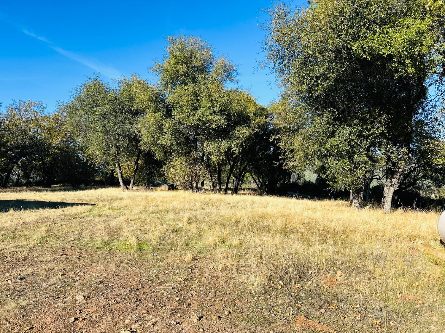 699 Weather Top Road Mountain Ranch, CA 95246 - Photo 7 of 10