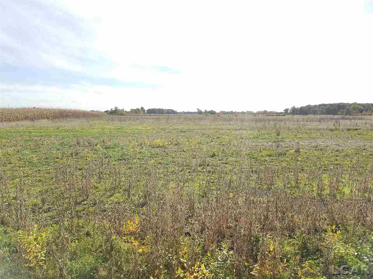 Morocco Road Temperance, MI 48182 - Photo 1 of 1