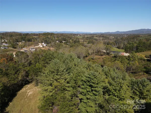 an aerial view of residential houses with outdoor space and trees