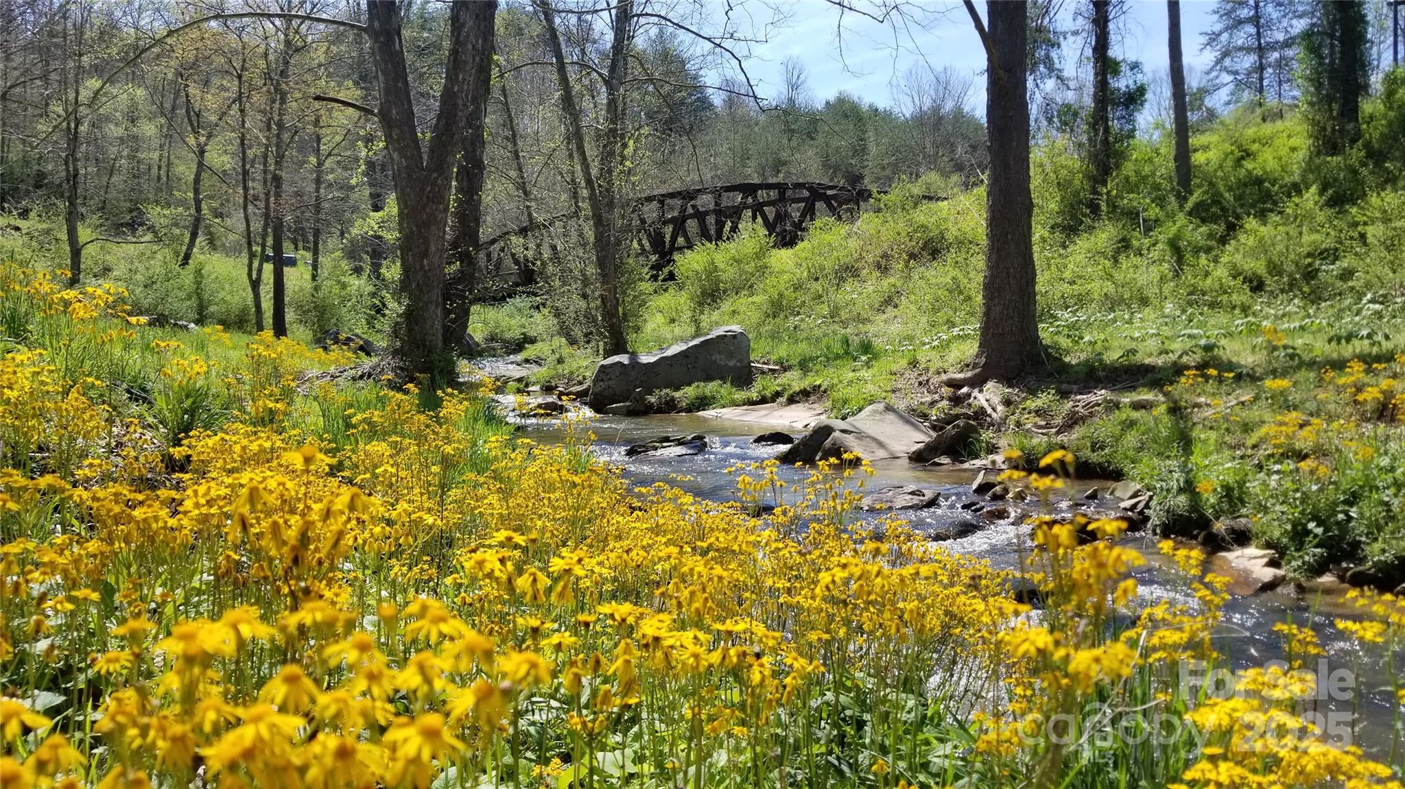 150 Old Macedonia Road Asheville, NC 28804 - Photo 16 of 24 a view of a tree with a yard