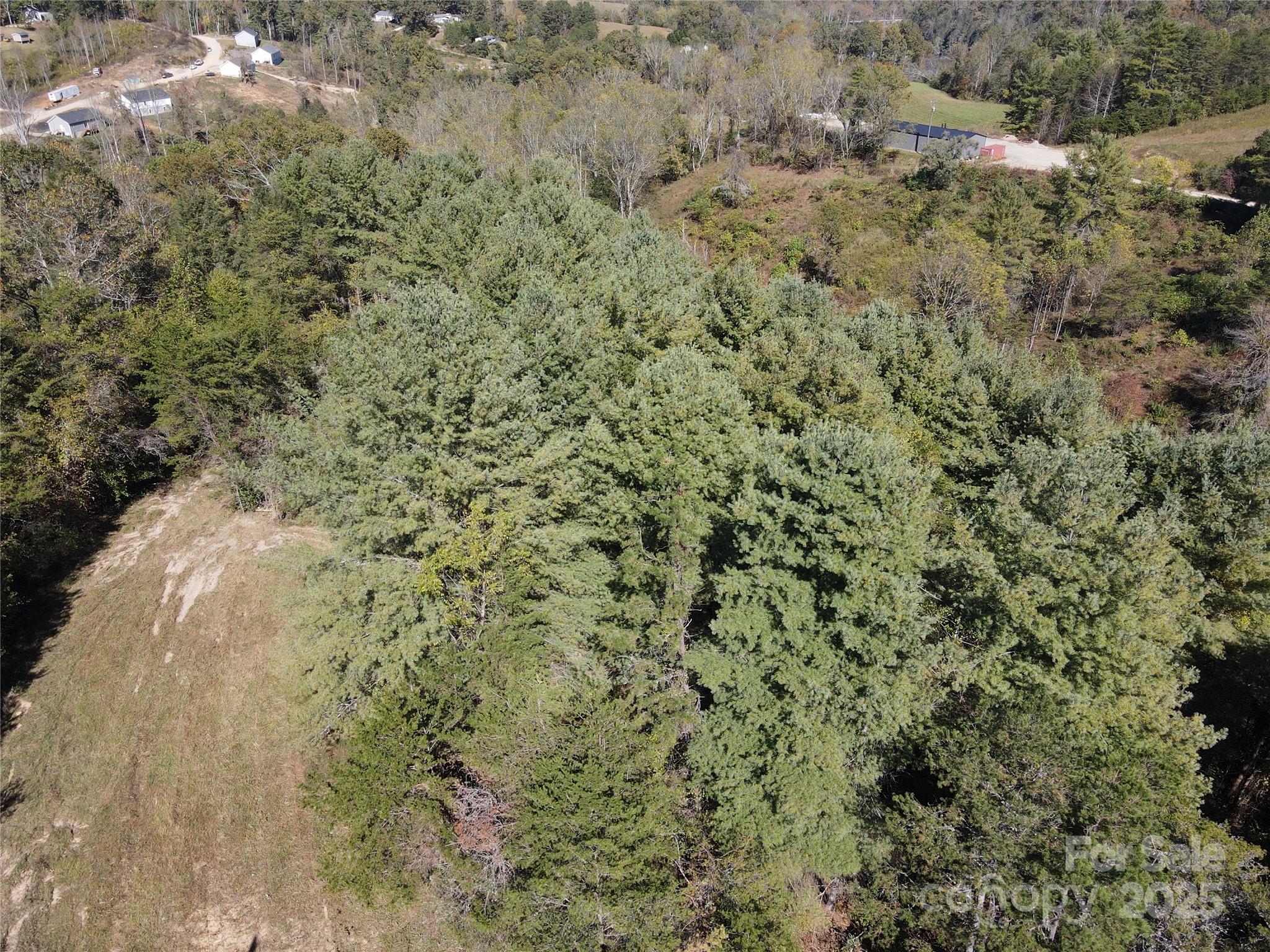 150 Old Macedonia Road Asheville, NC 28804 - Photo 3 of 24 a view of a bunch of trees and bushes