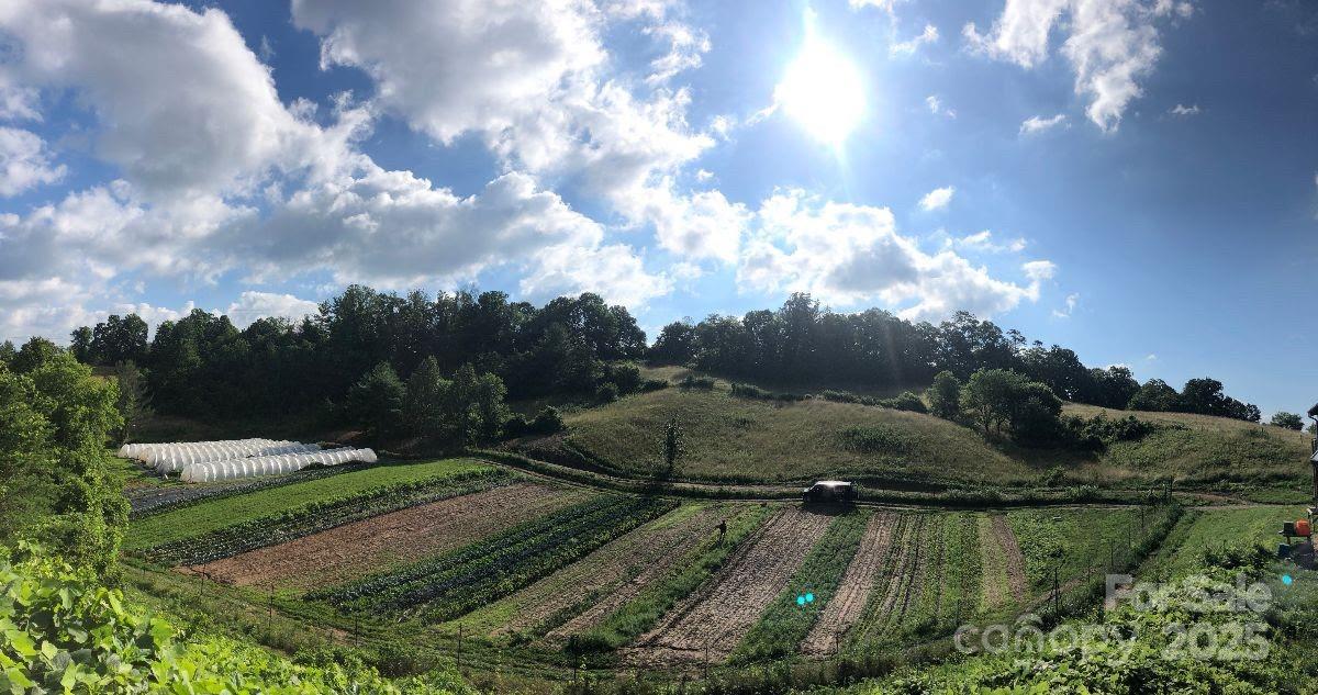 150 Old Macedonia Road Asheville, NC 28804 - Photo 9 of 24 a view of a street both side of grassy field