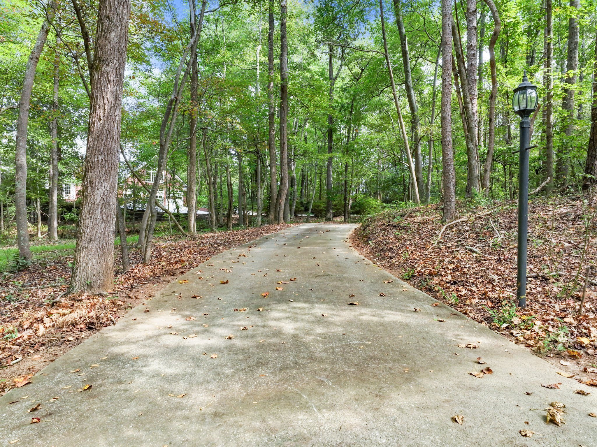 4394 Holly Springs Road Pendergrass, GA 30567 - Photo 60 of 80 a view of a dirt road and trees