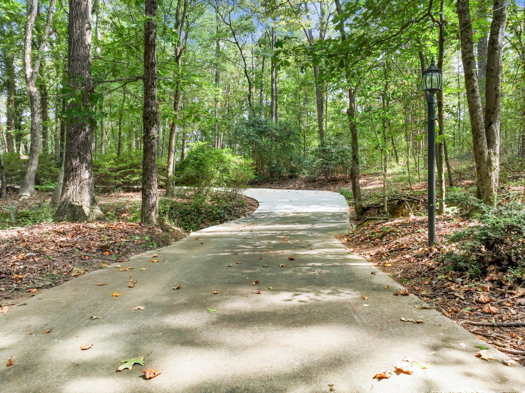 4394 Holly Springs Road Pendergrass, GA 30567 - Photo 61 of 80 a view of a road with trees in the background