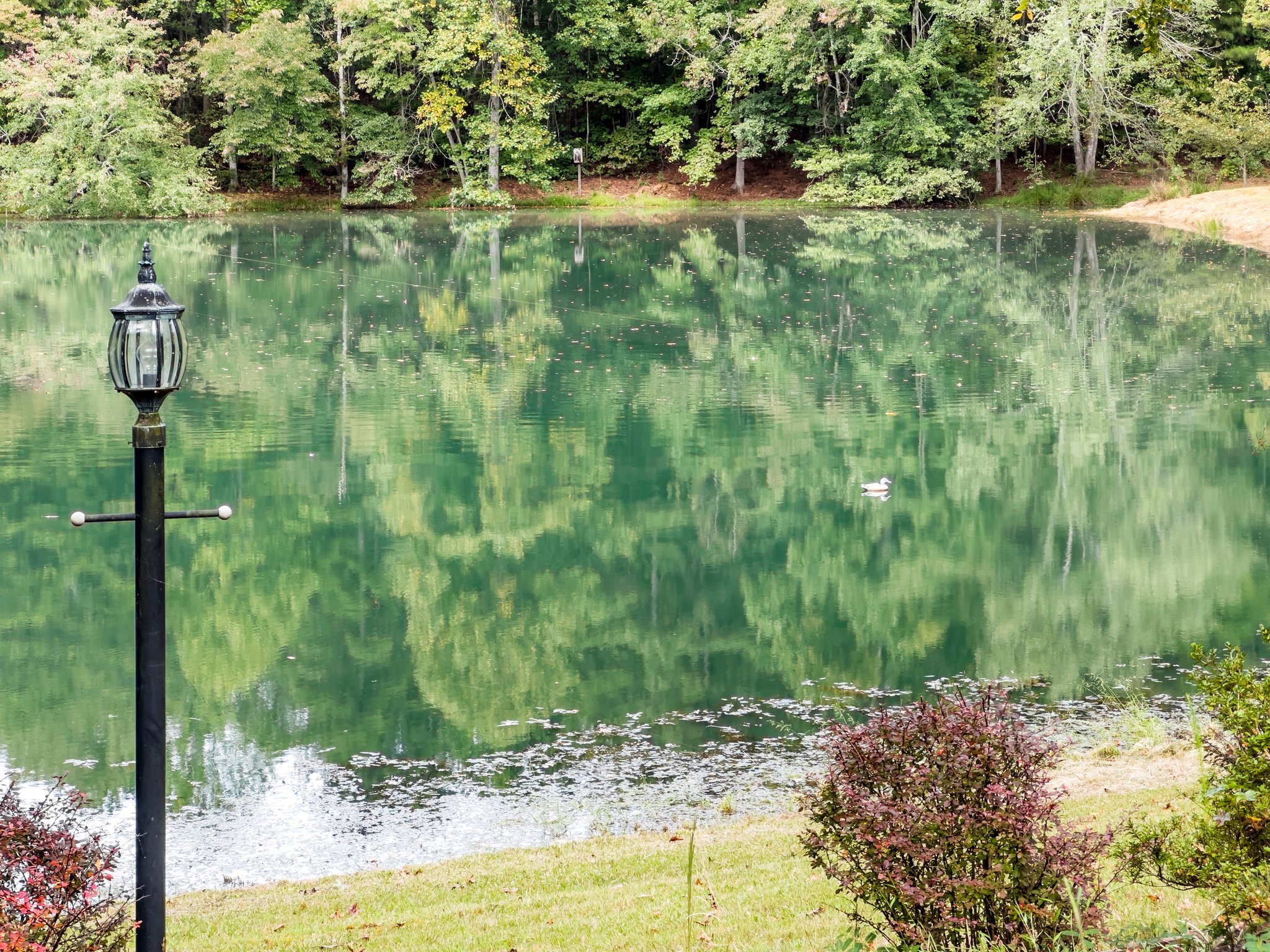 4394 Holly Springs Road Pendergrass, GA 30567 - Photo 66 of 80 a view of lake view