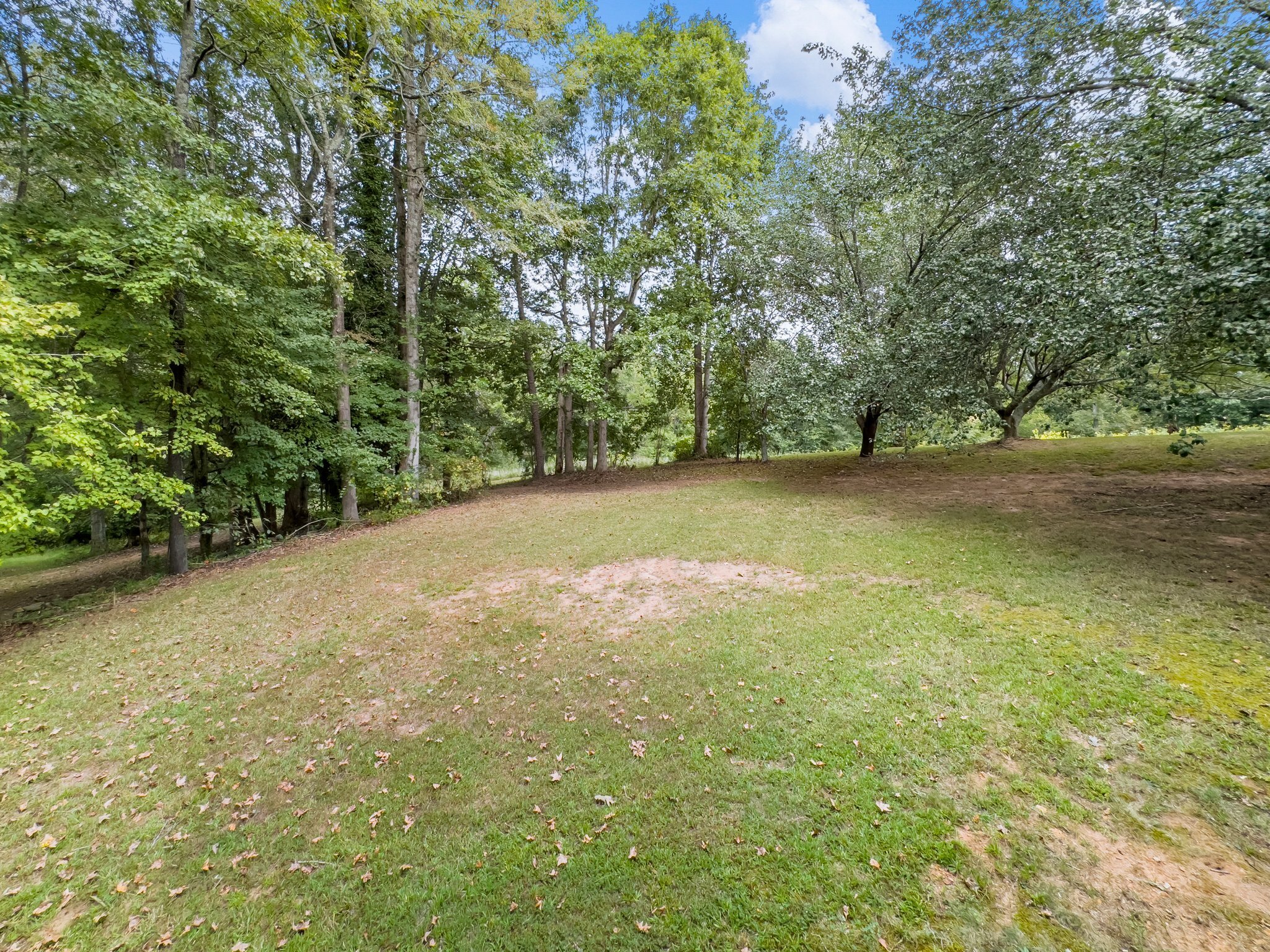4394 Holly Springs Road Pendergrass, GA 30567 - Photo 70 of 80 a view of a big yard with large trees