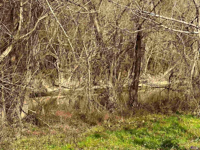 $269,900 | 38174 Oakland Drive, Prairieville, LA 70769