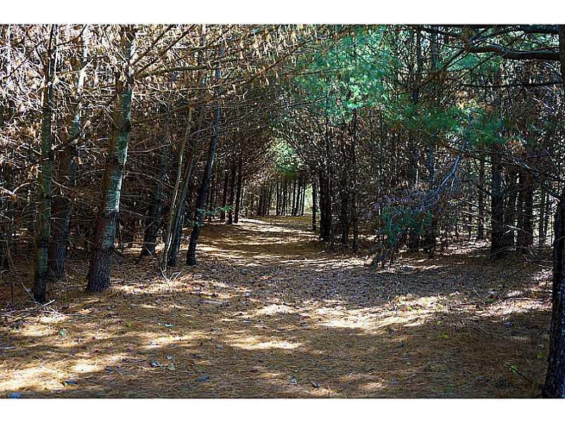 130 Troy Road Detroit, ME 04929 - Photo 8 of 25 Land. Path