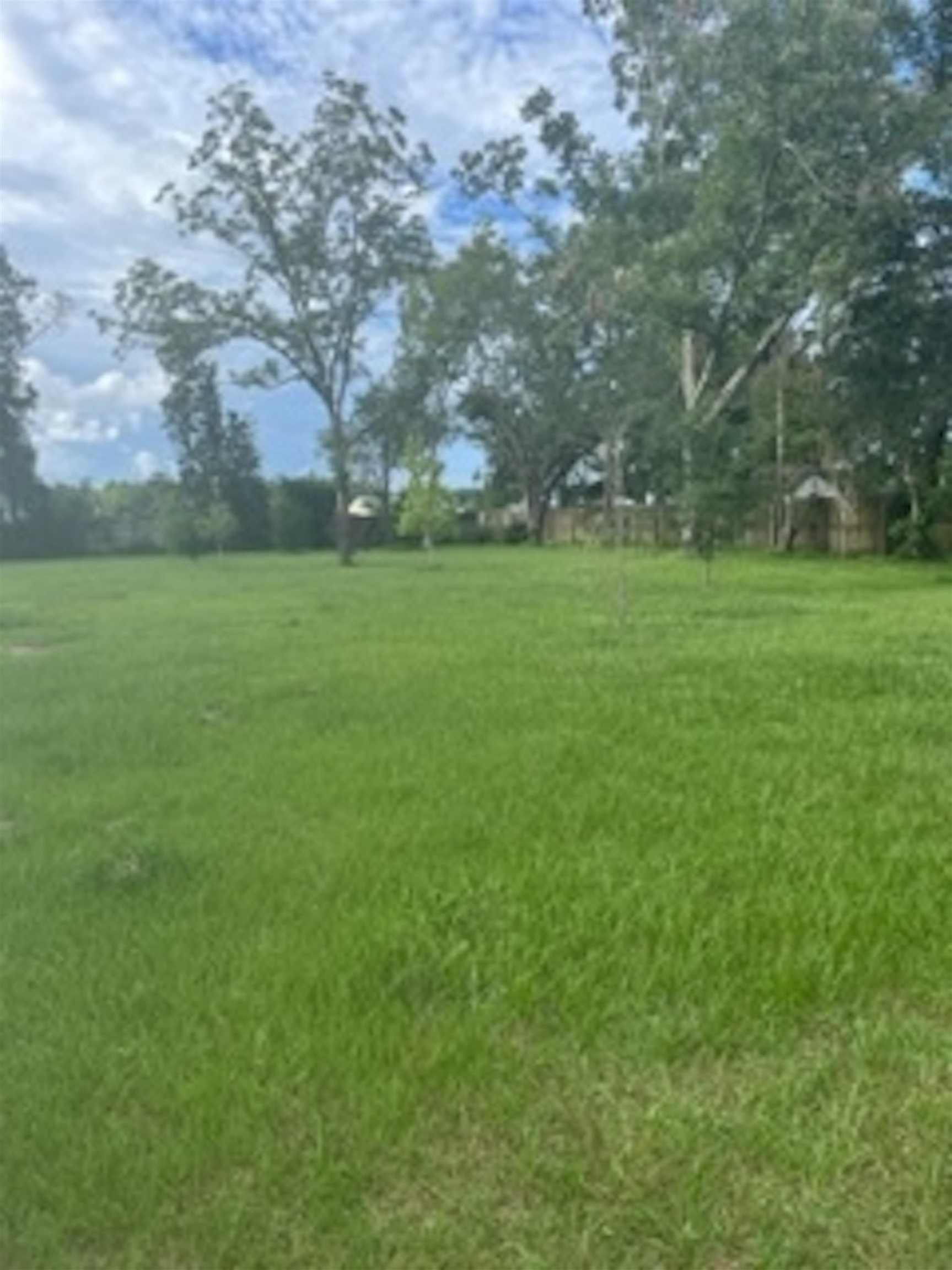 19873 Chestnut Drive Foley, AL 36535 - Photo 18 of 18